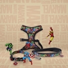 Picture of Marvel Avengers Dog Leash